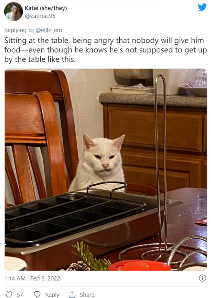 7. That face is terrifying—it's a clear sign that hell will break loose if someone doesn't give him food as soon as possible!