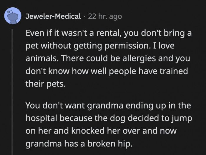 Even if Thanksgiving was hosted in one of their homes, the cousins should still ask if they can bring their dog.