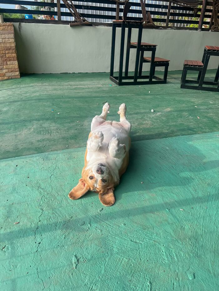 23. Current status: emotionally unavailable, physically upside down.