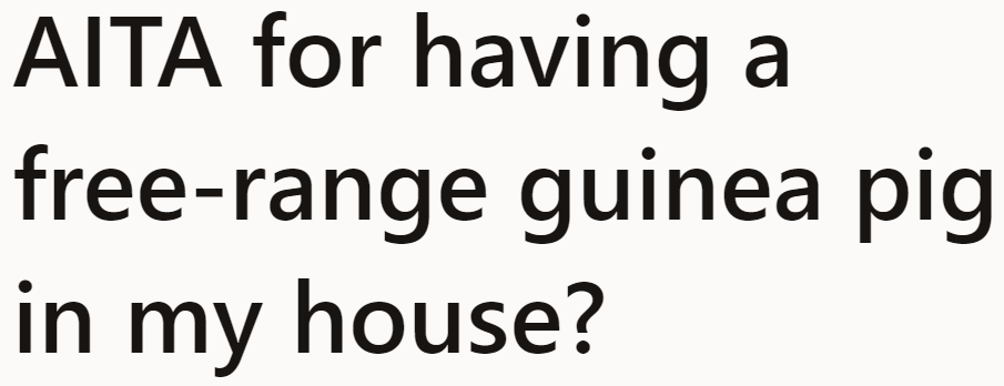 The OP, who lets her guinea pig roam around parts of her home freely, asks this question: