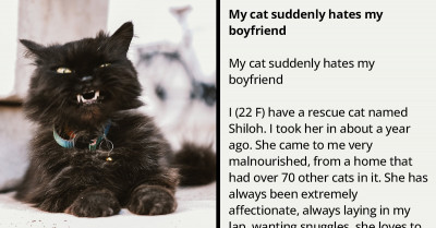 Redditor Is Confused As Her Cat, Who Initially Got Along With Her Boyfriend, Suddenly Hates Him