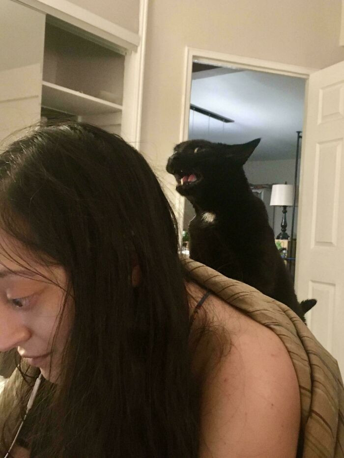 "My Nightly Castigation"