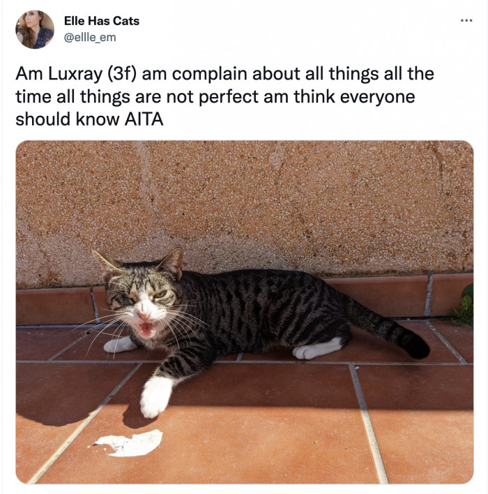 Luxray only expects the best and finest; even her name sounds like ‘luxury’