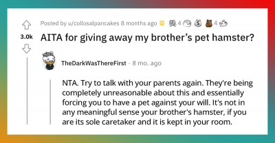 15+ Redditors Stand Up For A Boy Who Gave Away His Brother's Pet Hamsters