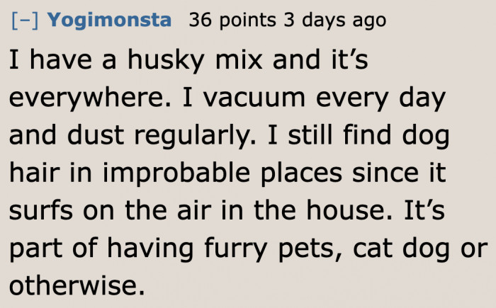 Dog hair being everywhere is just part of a life with a dog.