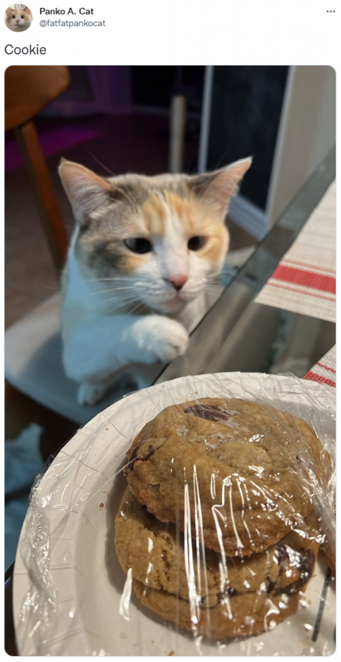 17. Which one? The one on the chair or the one on the table?