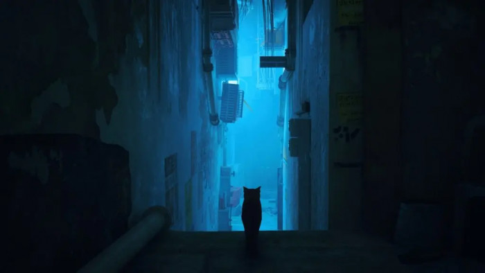 People love it. Cats and dogs love it too!