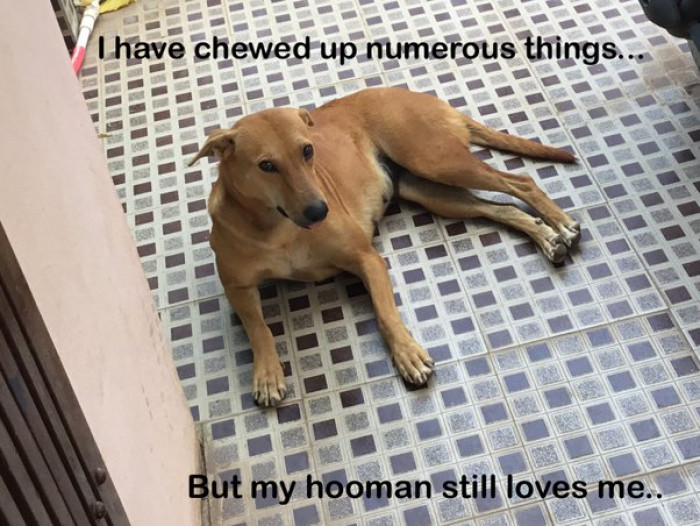 14. "They teach you how to control your anger…"