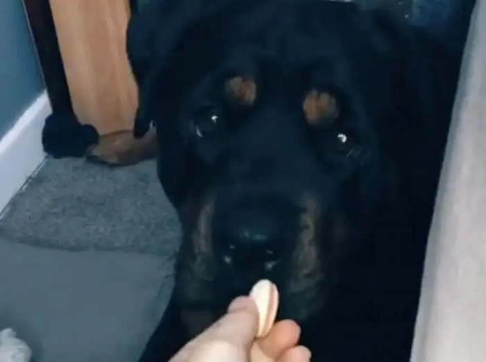 3. He’s Got Quite the Nose on Him