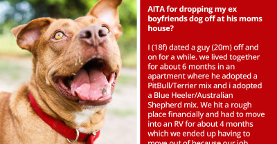 Redditor Asks If Dropping Off Ex's Dog At His Door After Breakup Makes Her A Terrible Person