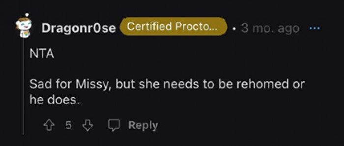 I bet Missy is a good cat, but his “owner” doesn’t respect the fact that Noodles was living with them legally.