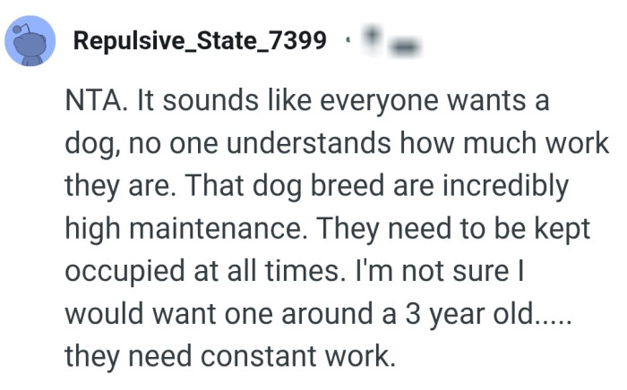 That type of dog breed is very high maintenance