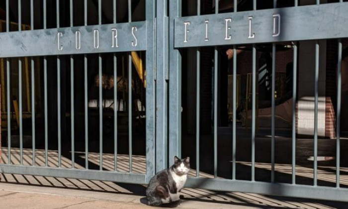 Jenni Leigh knew they needed to catch her