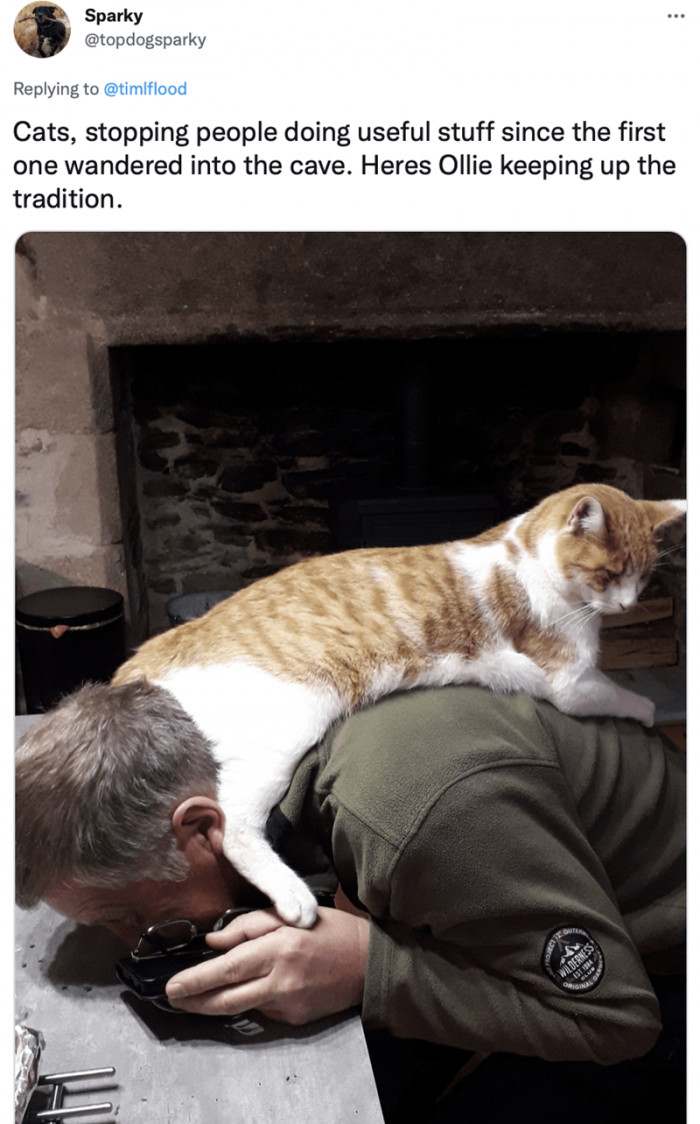 7. "Oh, you're busy? That's too bad."