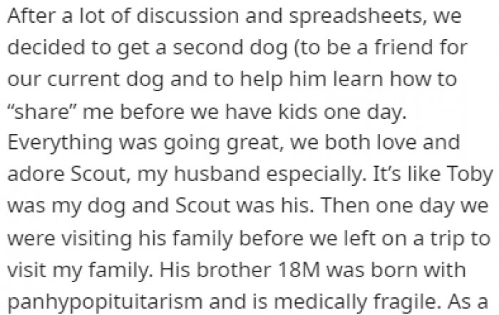 They decided to get another dog so the first dog could learn how to share her owners with the kids that could be on the way in the future.