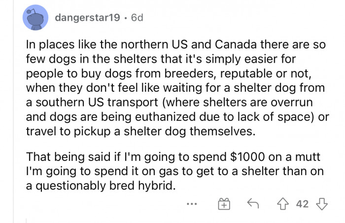 Breeding can be dangerous if people don’t do it properly. Be careful about who you buy from.