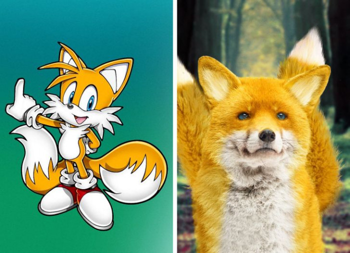 5. This real version of Tails is truly one to watch out for.