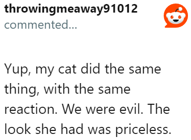 Apparently, there are cats out there with the same attitude as the OP's pet.