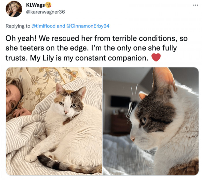 But they always have their one human, the extra special one who has the honor bestowed upon them.