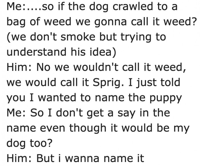 His reason for wanting to name the puppy alone