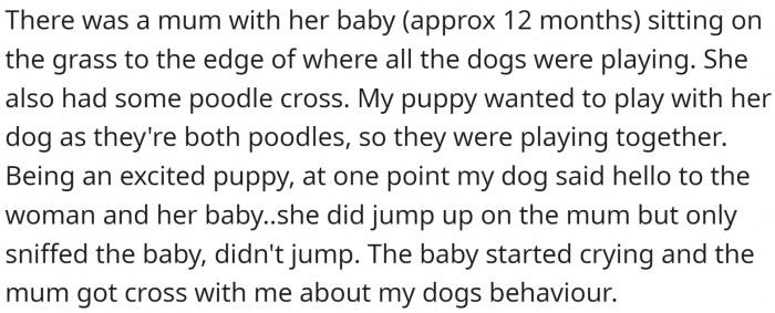 One mom was sitting on the grass with her 12-month-old baby, and the dog came to them to say hi.