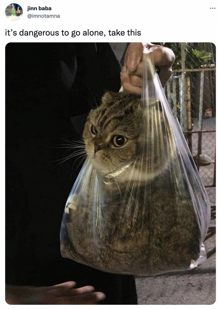 49. The new sequel to the Dr. Seuss book looks exciting