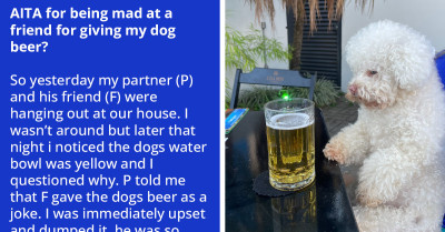 Redditor Gets Angry At Their Partner For Allowing His Friend To Give Beer To Their Dog, He Can't Understand Why