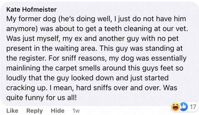 13. Sniffing it all out