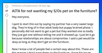 Redditor Forbids The Dog They Didn’t Even Want To Be On The Couch, Their Partner Gets Angry