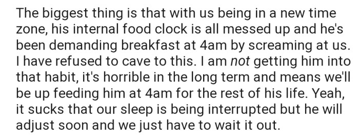 In addition, the new time zone has altered the cat's internal food clock. Consequently, OP and their boyfriend have to deal with the cat screaming for breakfast by 4 AM.