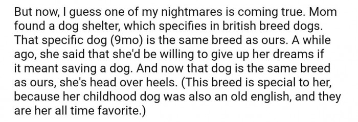 As if with no warning, OP's mom found another Old English Sheepdog at the shelter and fell in love