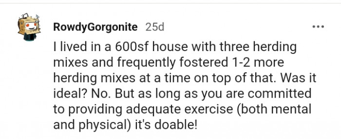 As long as you are committed to providing the required exercise