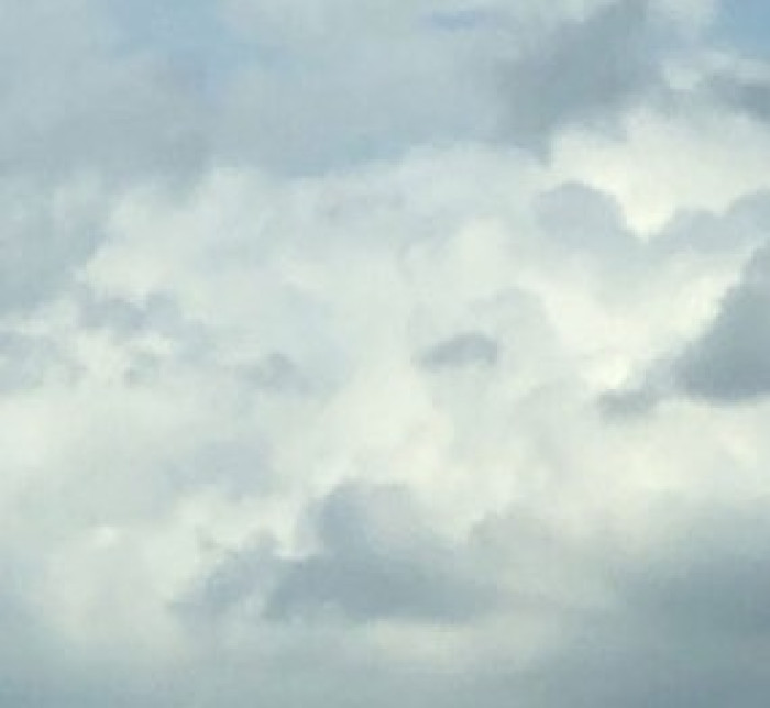 When she recognizes her dog’s face in the sky, she felt happy and it's nothing short of purrsome