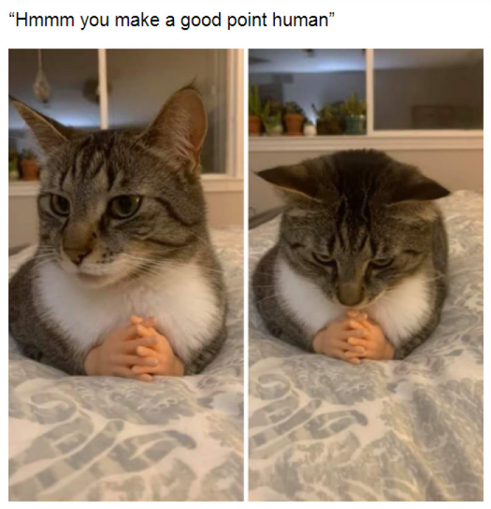 5. Just devising a plan for world domination...