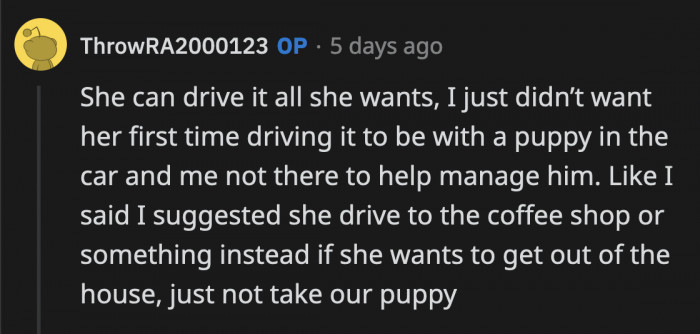OP said his girlfriend is free to use the truck when she wants but she shouldn't be driving it at that state for the first time in three years
