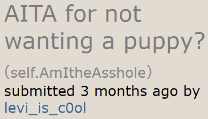 The teenager wants to be judged by online users after disagreeing with her mom about getting a new dog.