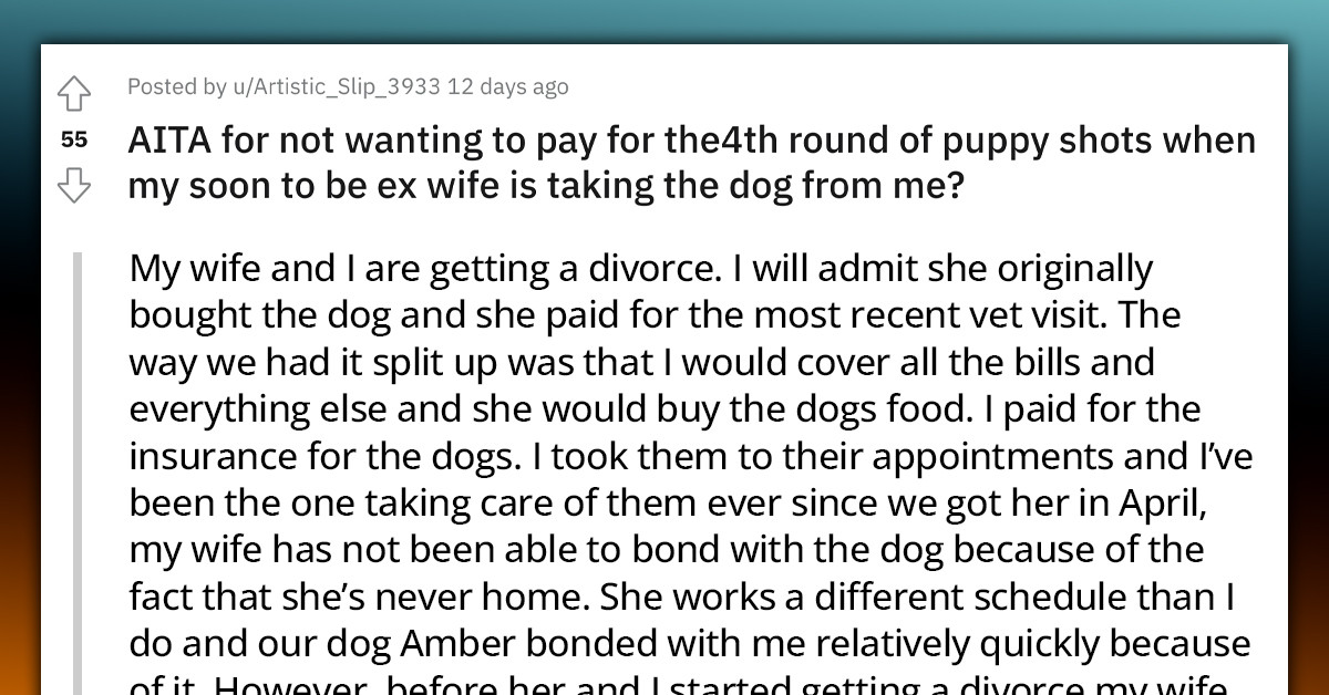 man-refuses-to-pay-for-the-4th-round-of-puppy-shots-for-soon-to-be-ex