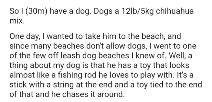 The OP Goes to One of the Few Off-Leash Beaches Available for Dogs