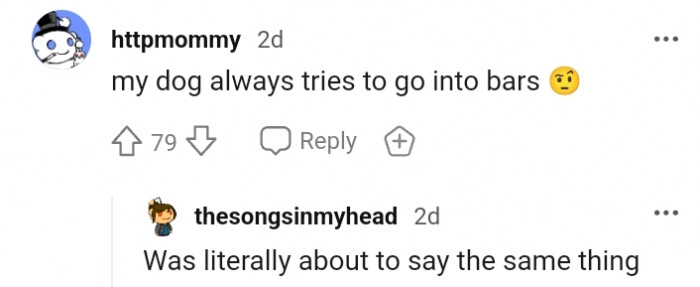 8. This doggo just wants to have a drink