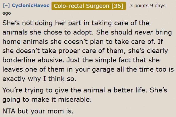 It should be the mom's responsibility to take care of the dog she adopted.