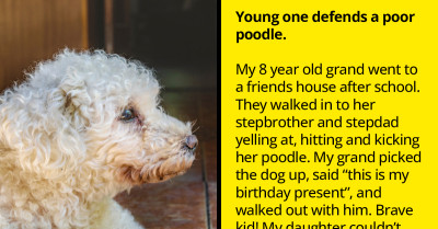 Dog Lovers Share How They Would Defend Canine Friends Against Abuse