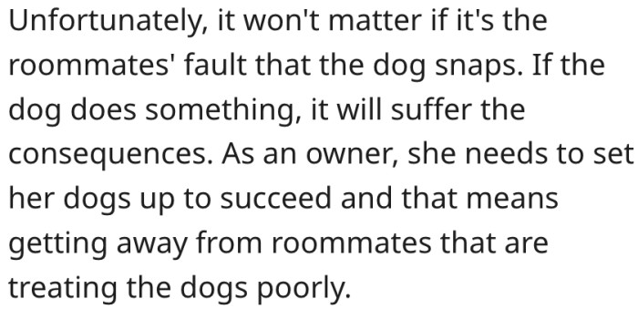 18. Dog owners should provide a healthy environment for their dogs to thrive.