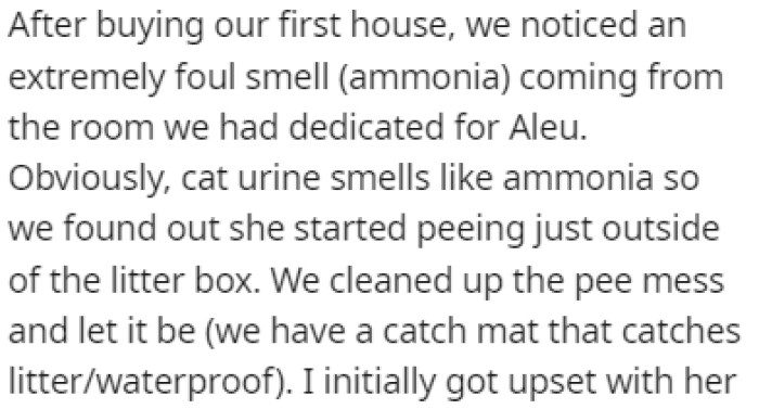 After buying the house, they noticed that there was a strong smell coming from the room that was dedicated to the wife's cat, Aleu