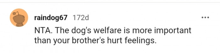 6. The dog's welfare is more important