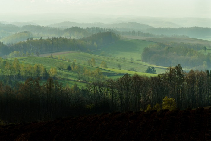 Check out this beautiful landscape