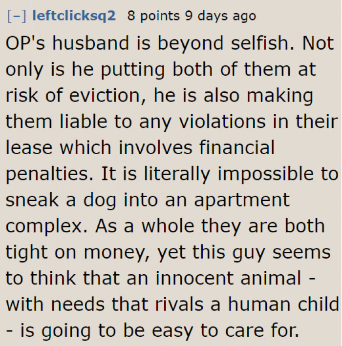 The husband didn't even think about the consequences.