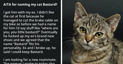 A Cat Named 'Bastard' Is Making It Difficult For His Human To Find A Roommate After The Last One Found His Name Offensive