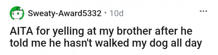 Is it wrong for this Redditor to have yelled at the brother?