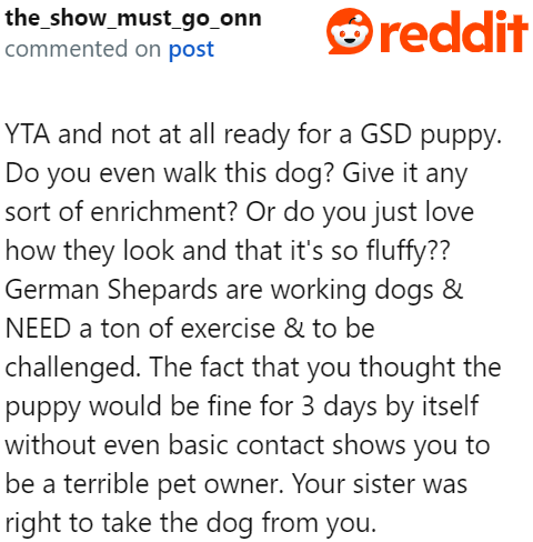 Some people believe that the OP isn't ready for such a high-energy dog.