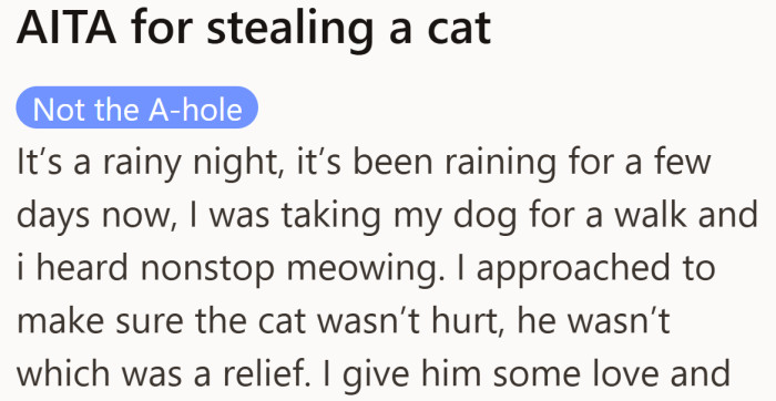 A late walk in the rain turns into an unexpected rescue when a lonely tuxedo cat cries for help.
